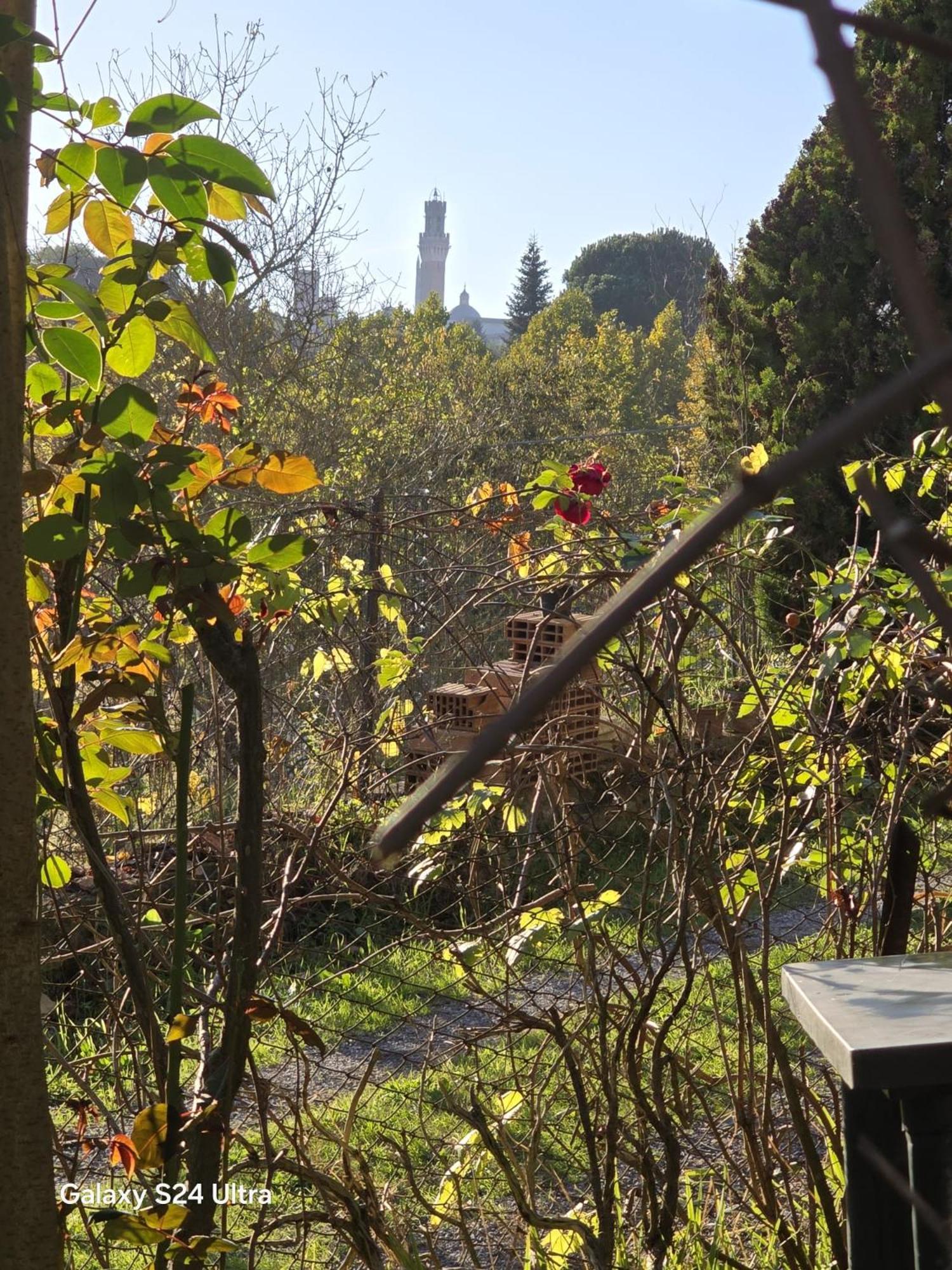 Podere Ponticini Siena Exteriér fotografie